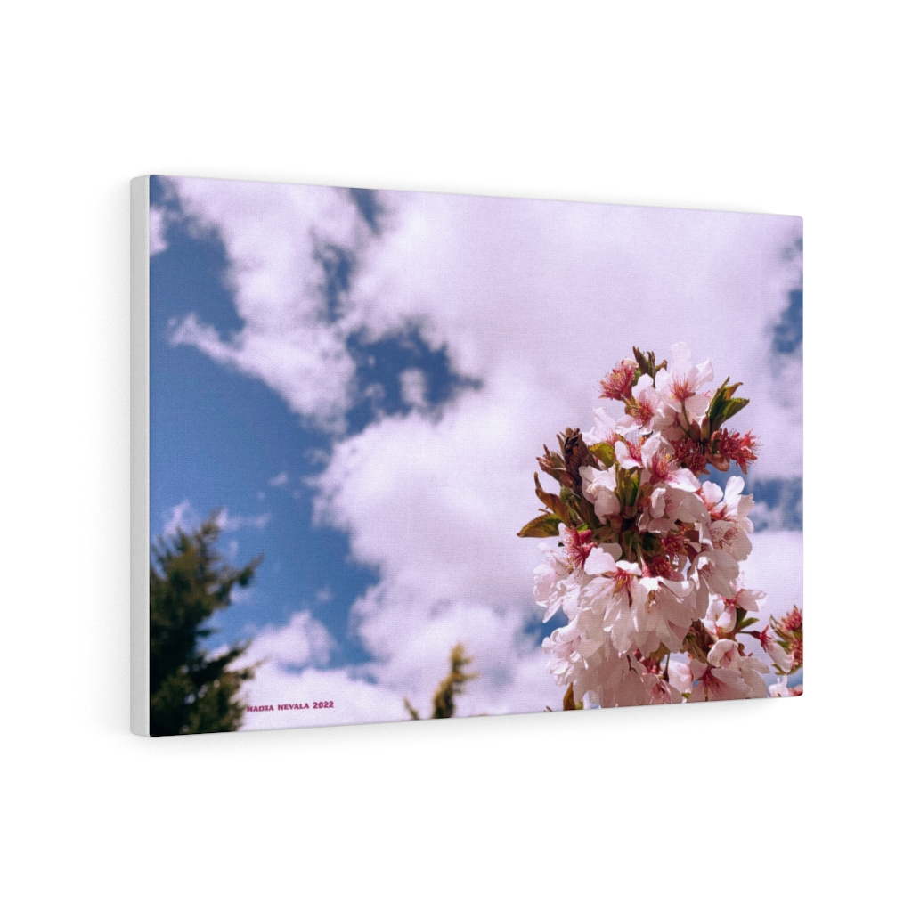 Cherry Blossom Collection by Nadia Nevala - Canvas Gallery Wrap - Image 21