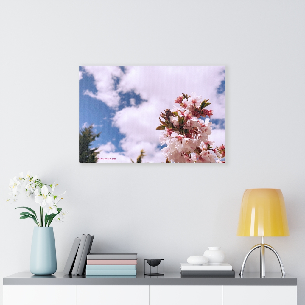 Cherry Blossom Collection by Nadia Nevala - Canvas Gallery Wrap - Image 22