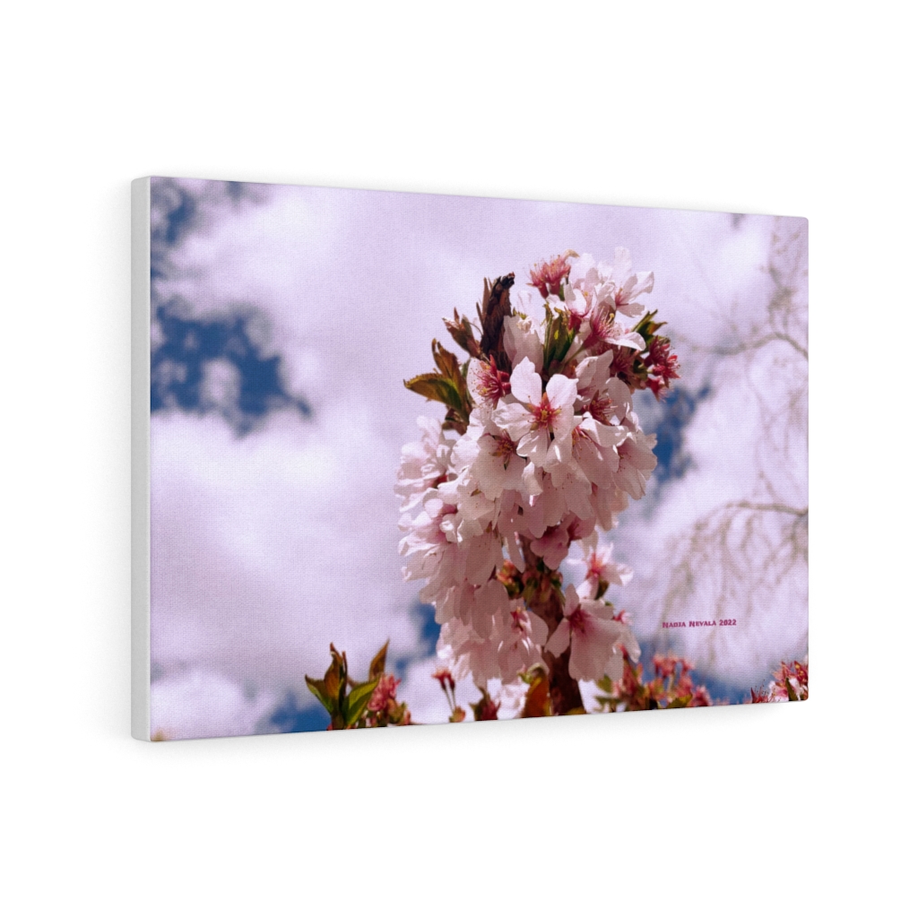 Cherry Blossom Collection by Nadia Nevala - Canvas Gallery Wrap - Image 25