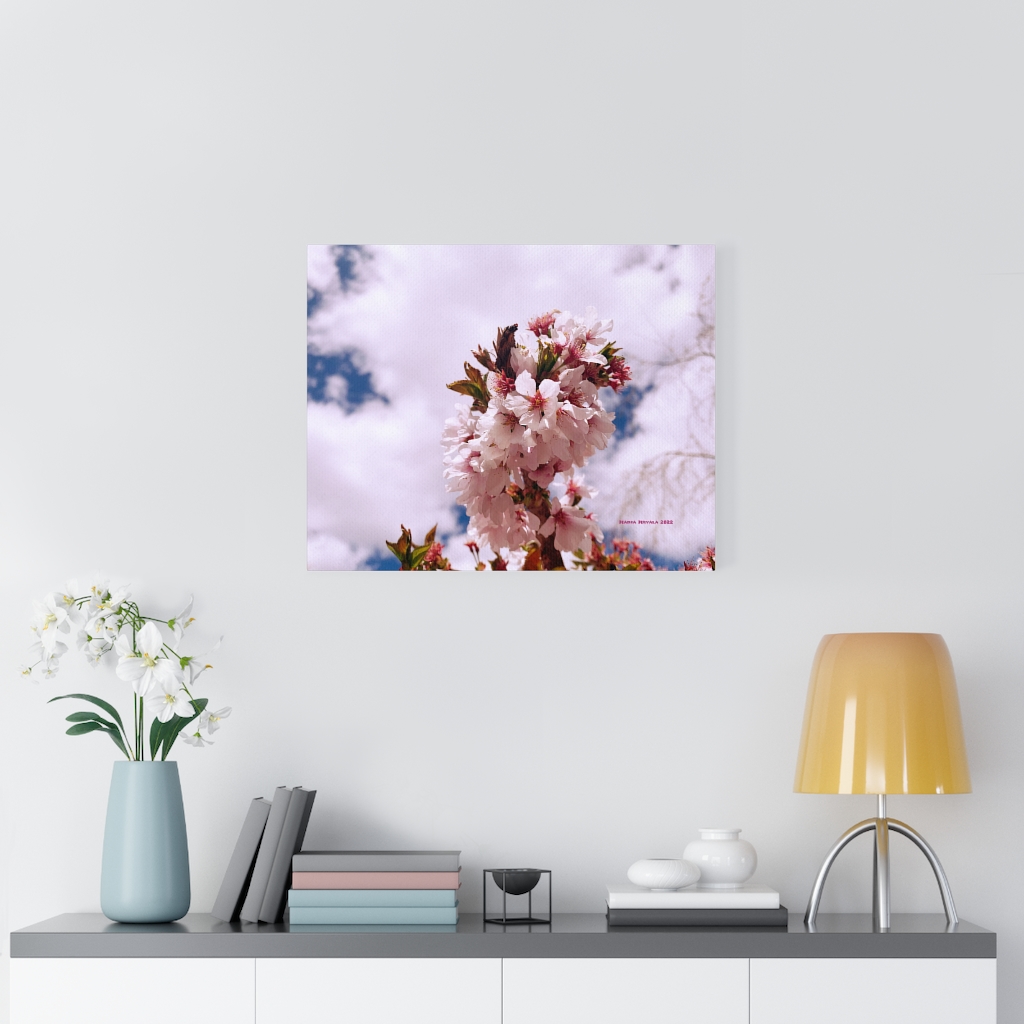 Cherry Blossom Collection by Nadia Nevala - Canvas Gallery Wrap - Image 22