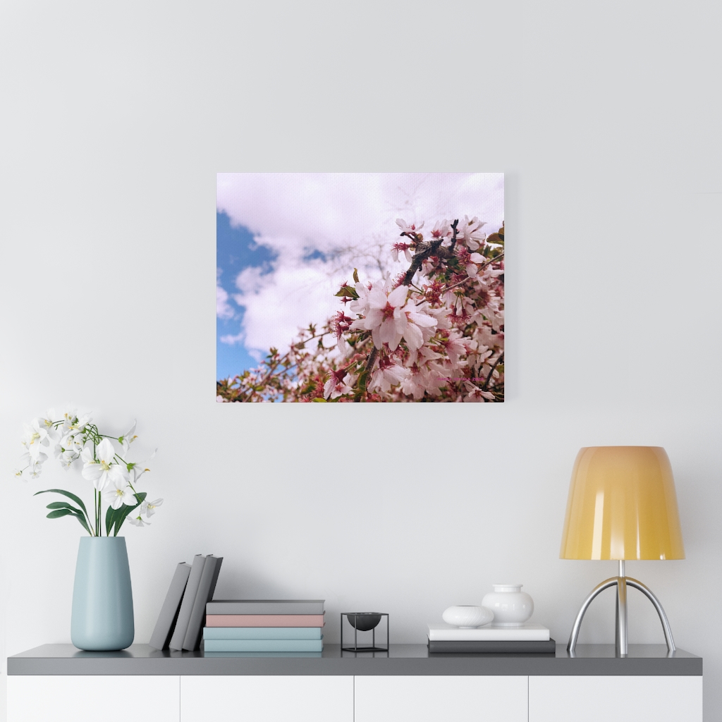 Cherry Blossom Collection by Nadia Nevala - Canvas Gallery Wrap - Image 26