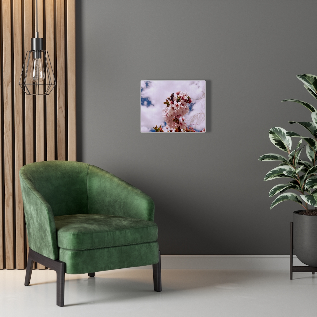 Cherry Blossom Collection by Nadia Nevala - Canvas Gallery Wrap - Image 23