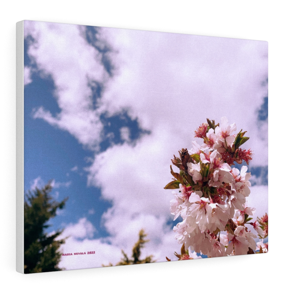 Cherry Blossom Collection by Nadia Nevala - Canvas Gallery Wrap - Image 17
