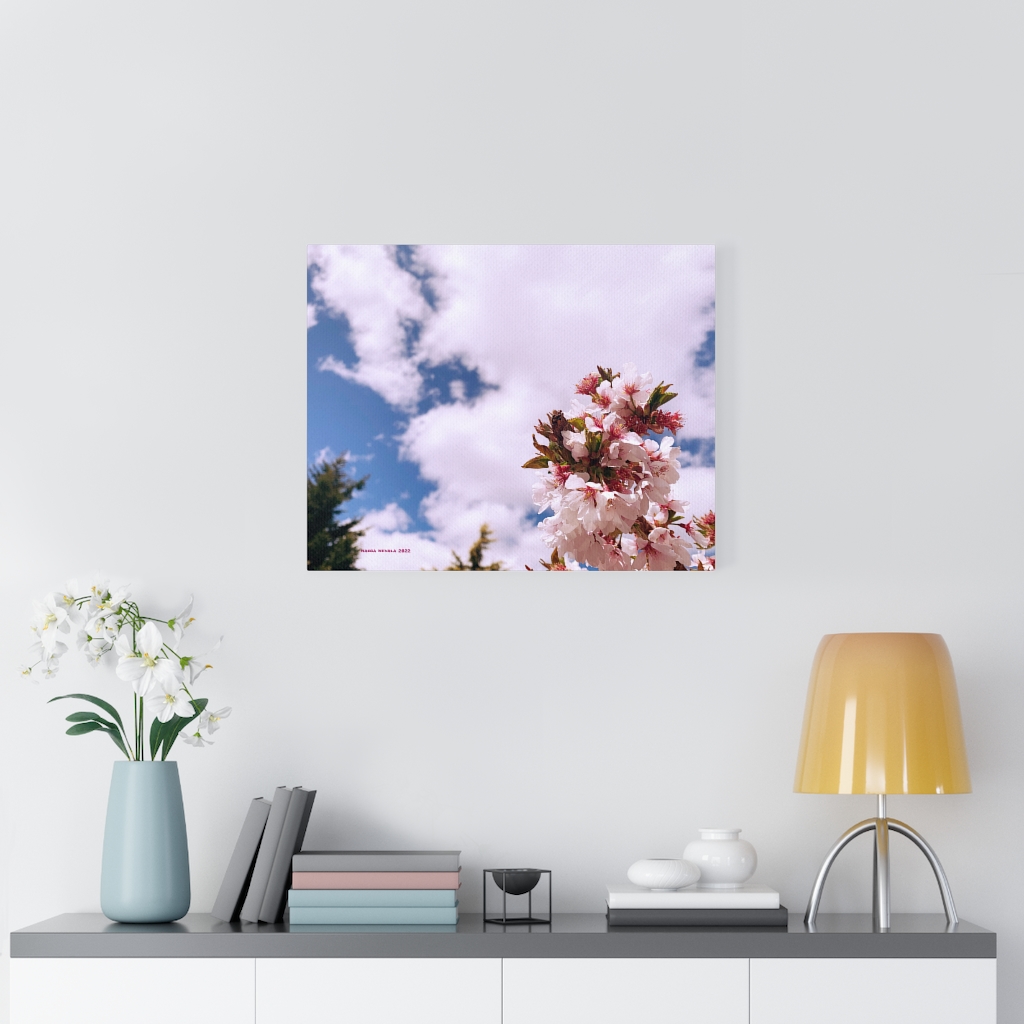 Cherry Blossom Collection by Nadia Nevala - Canvas Gallery Wrap - Image 18