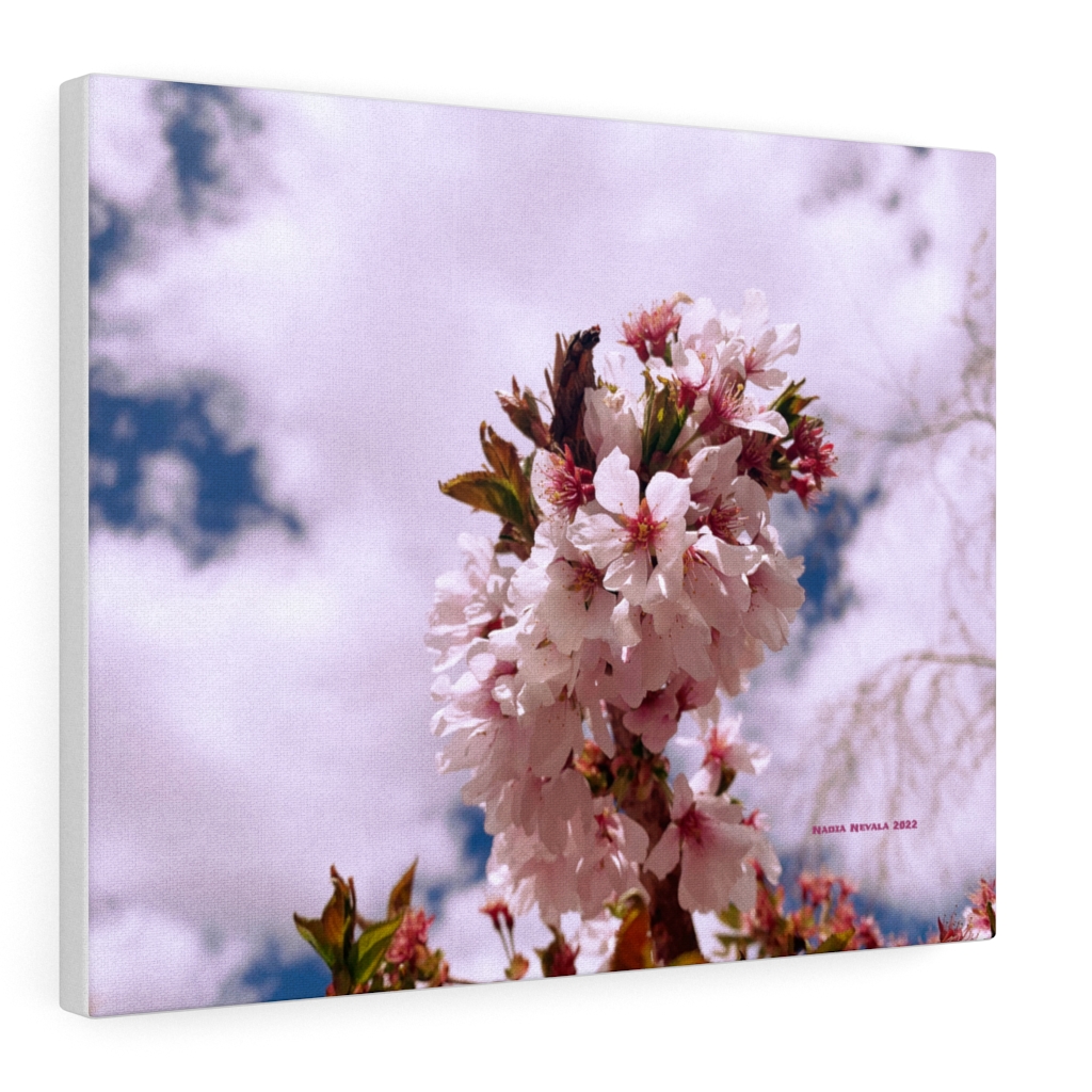 Cherry Blossom Collection by Nadia Nevala - Canvas Gallery Wrap - Image 21